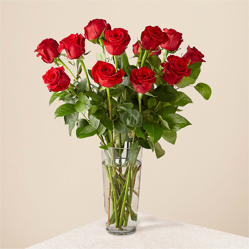 Long Stem Red Rose Bouquet – Double D Flower Shop, Mercedes TX