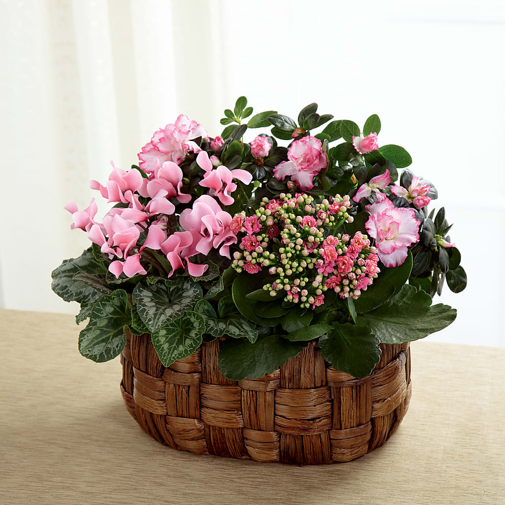 Pink Assortment – Double D Flower Shop, Mercedes TX