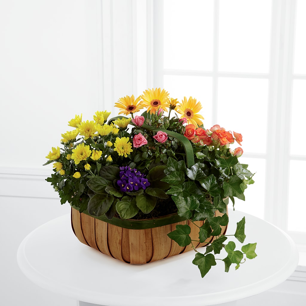 Gentle Blossoms Basket – Double D Flower Shop, Mercedes TX