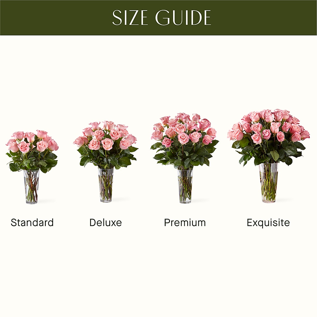 Long Stem Pink Rose Bouquet – Double D Flower Shop, Mercedes TX