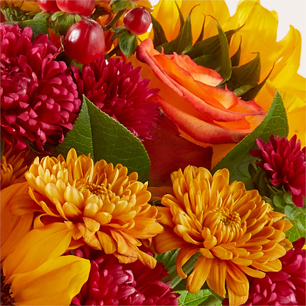 Sweater Season - A Florist Original – Double D Flower Shop, Mercedes TX