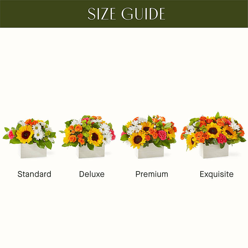 Sun-drenched Blooms Box Bouquet – Double D Flower Shop, Mercedes TX