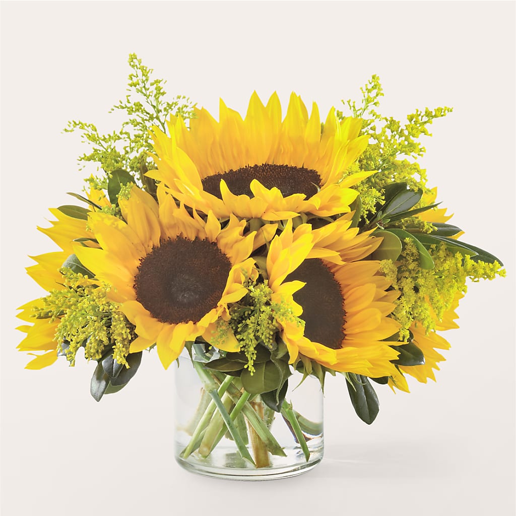 Beaming Sunflower Bouquet – Double D Flower Shop, Mercedes TX