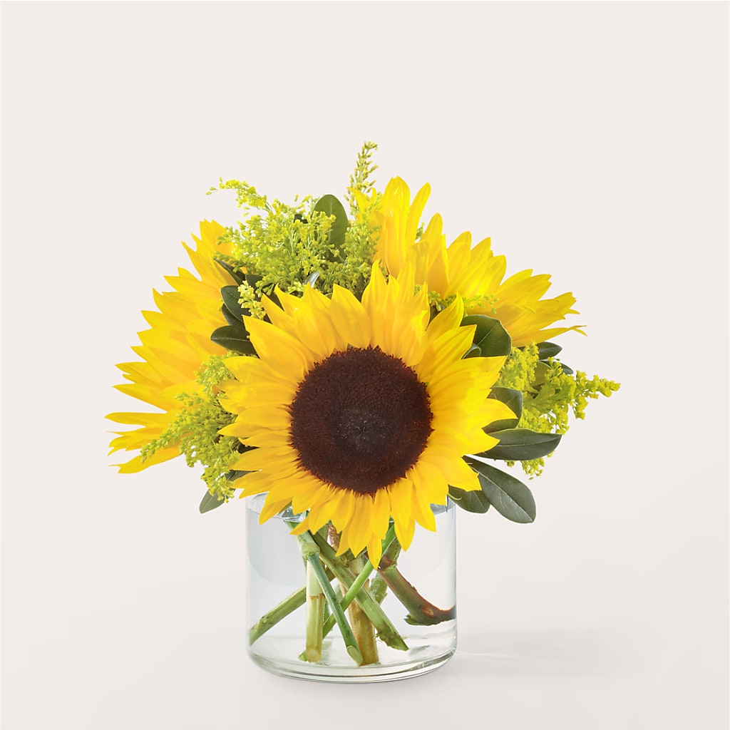Beaming Sunflower Bouquet – Double D Flower Shop, Mercedes TX