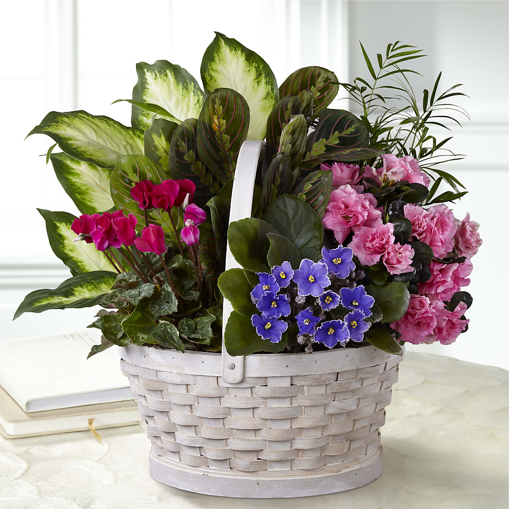 Peaceful Garden Planter – Double D Flower Shop, Mercedes TX