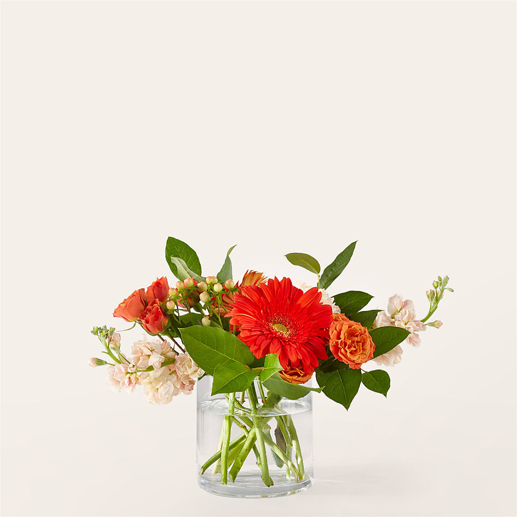 Paloma Please Bouquet – Double D Flower Shop, Mercedes TX