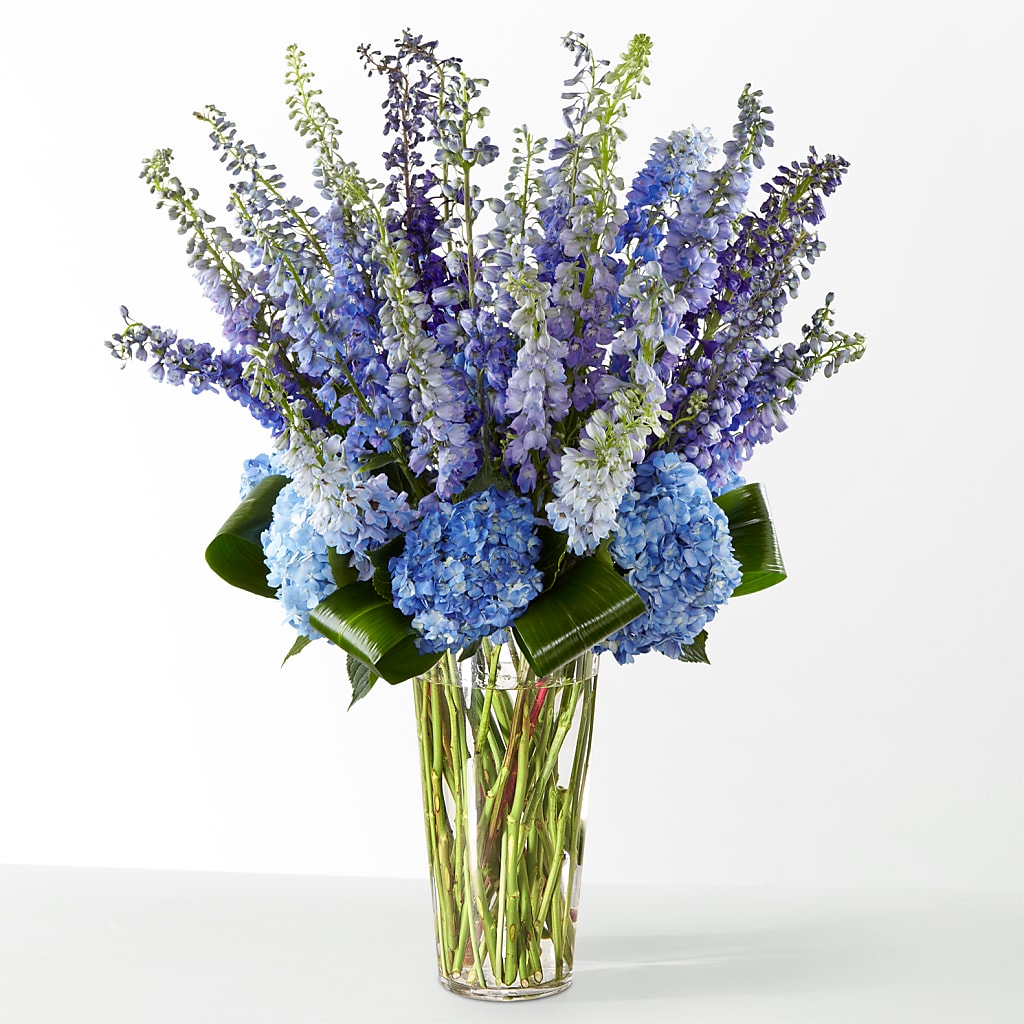 The Editorial – Double D Flower Shop, Mercedes TX