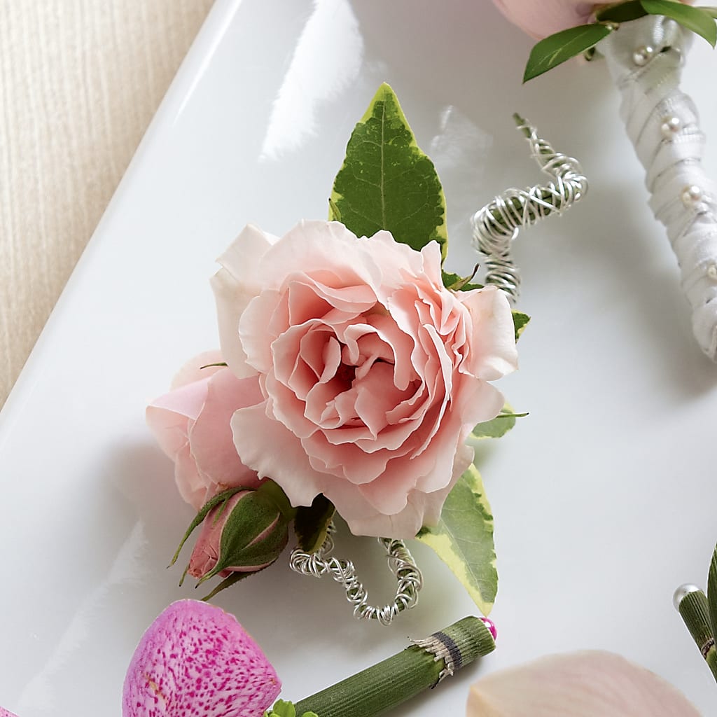 Pink Spray Rose Boutonniere – Double D Flower Shop, Mercedes TX
