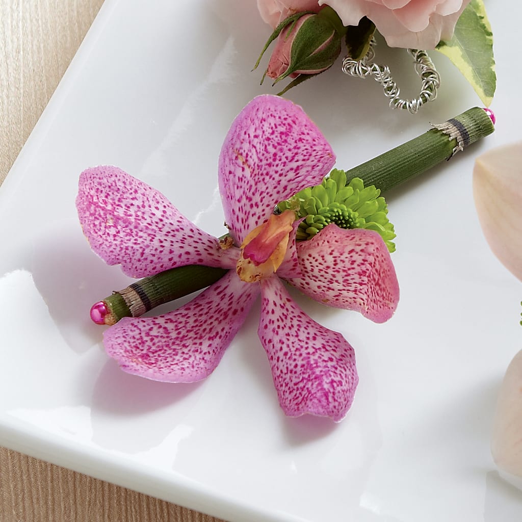 Pink Mokara Boutonniere – Double D Flower Shop, Mercedes TX