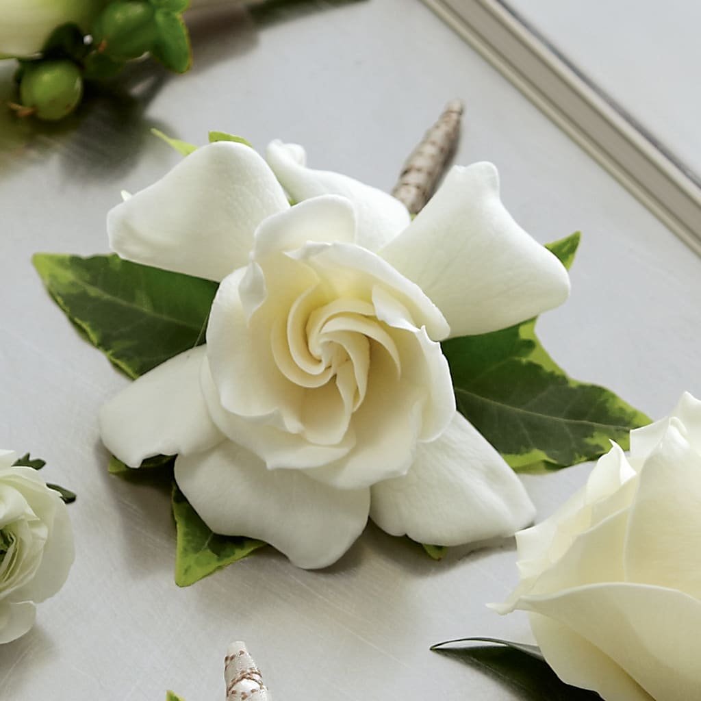 Gardenia Boutonniere – Double D Flower Shop, Mercedes TX