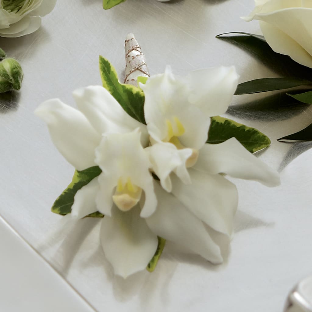 White Mini Cymbidium Boutonniere – Double D Flower Shop, Mercedes TX
