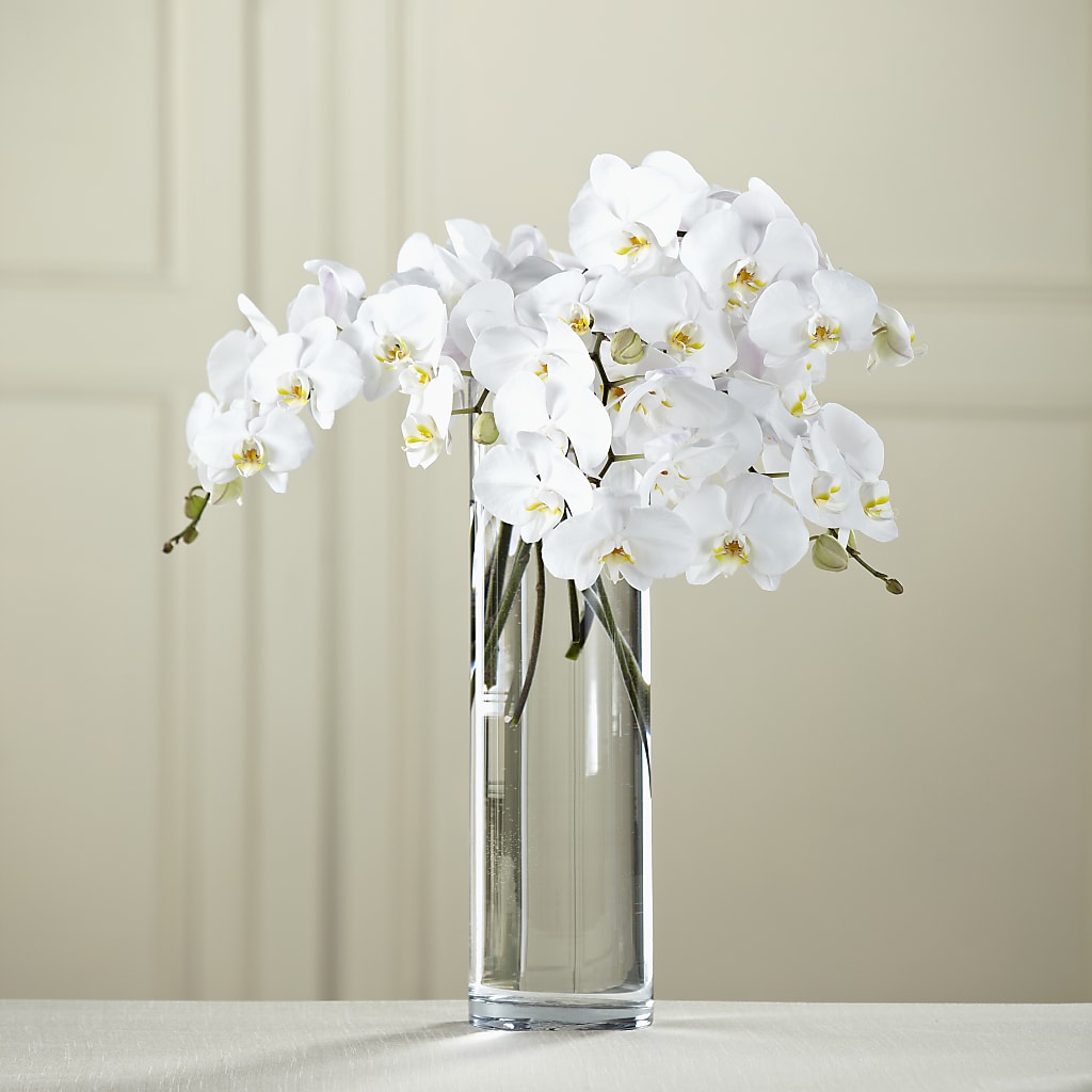 White Phalaenopsis Bouquet – Double D Flower Shop, Mercedes TX
