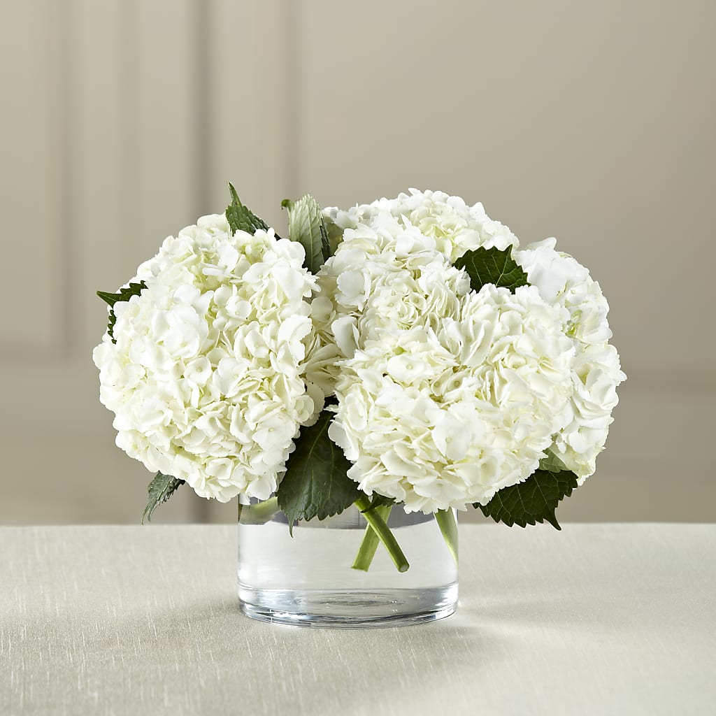 White Hydrangea Bouquet – Double D Flower Shop, Mercedes TX
