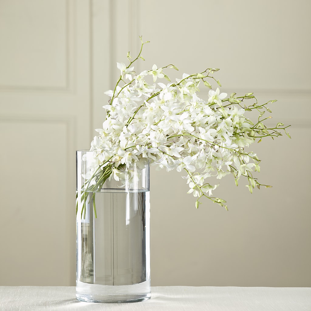 White Dendrobium Bouquet – Double D Flower Shop, Mercedes TX