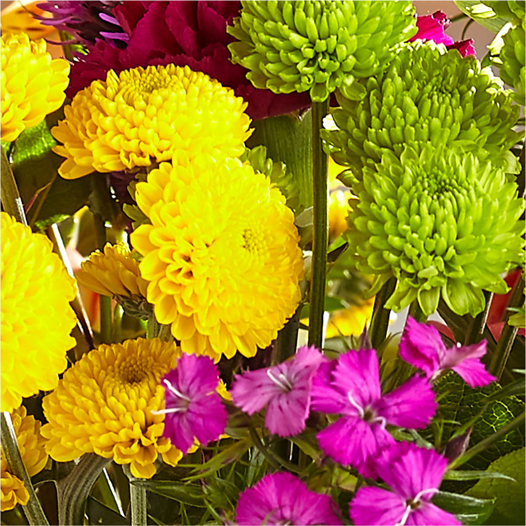 Bold & Bright – A Florist Original –  Double D Flower Shop, Mercedes TX