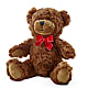 Adorable Plush Bear –  Double D Flower Shop, Mercedes TX
