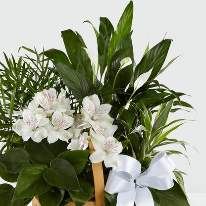 Peace & Serenity Dishgarden –  Double D Flower Shop, Mercedes TX