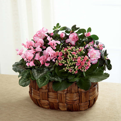 Pink Assortment –  Double D Flower Shop, Mercedes TX