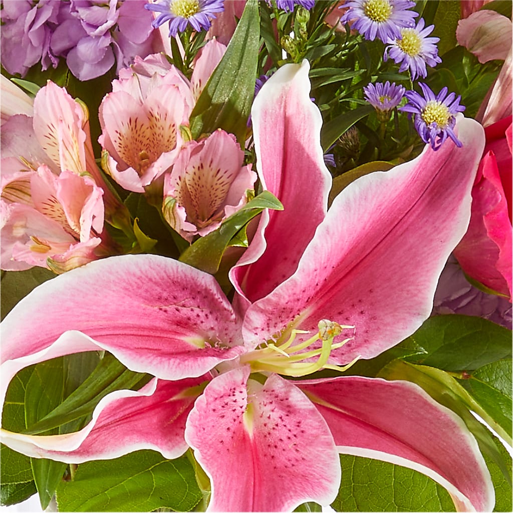Written in the Stars Bouquet –  Double D Flower Shop, Mercedes TX