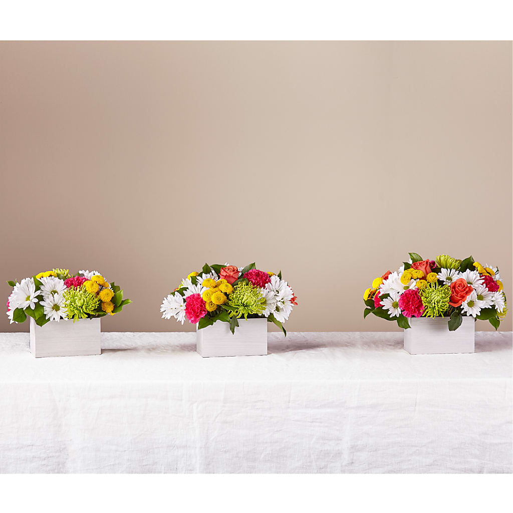 Sorbet Bouquet –  Double D Flower Shop, Mercedes TX
