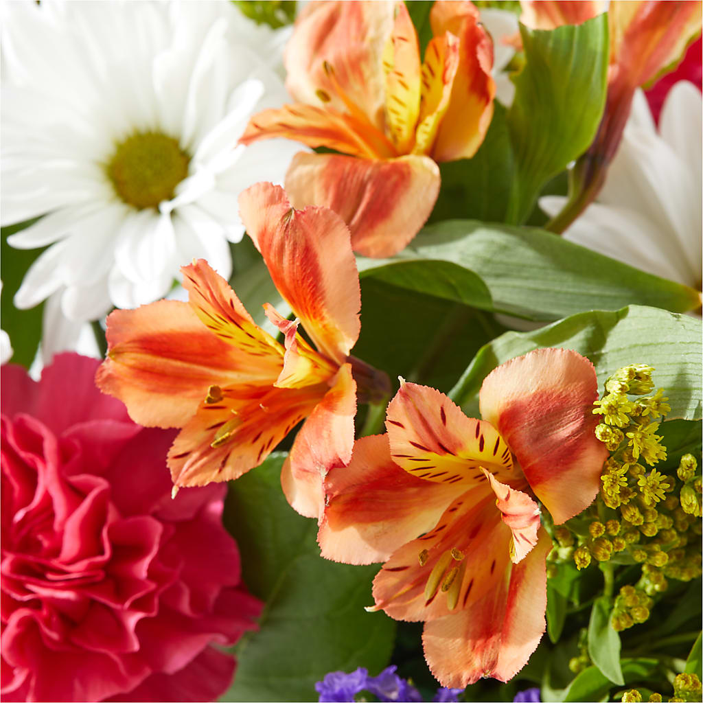 Oopsie Daisy Box Bouquet –  Double D Flower Shop, Mercedes TX
