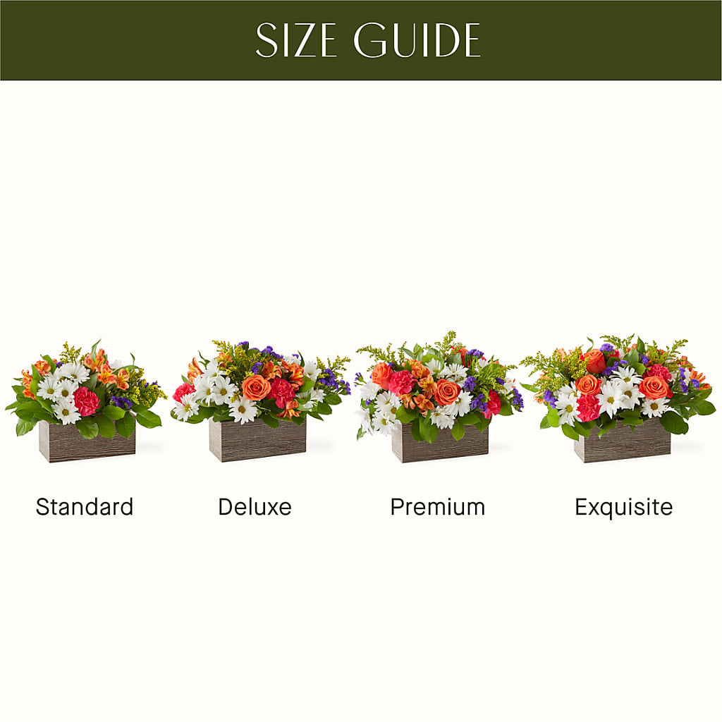 Oopsie Daisy Box Bouquet –  Double D Flower Shop, Mercedes TX