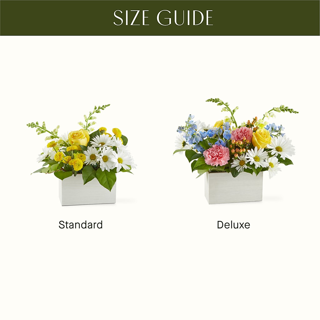Sun Salutation Box Bouquet –  Double D Flower Shop, Mercedes TX