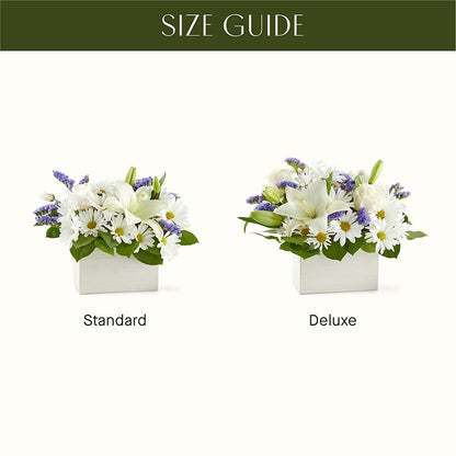 Beyond Blue Box Bouquet –  Double D Flower Shop, Mercedes TX
