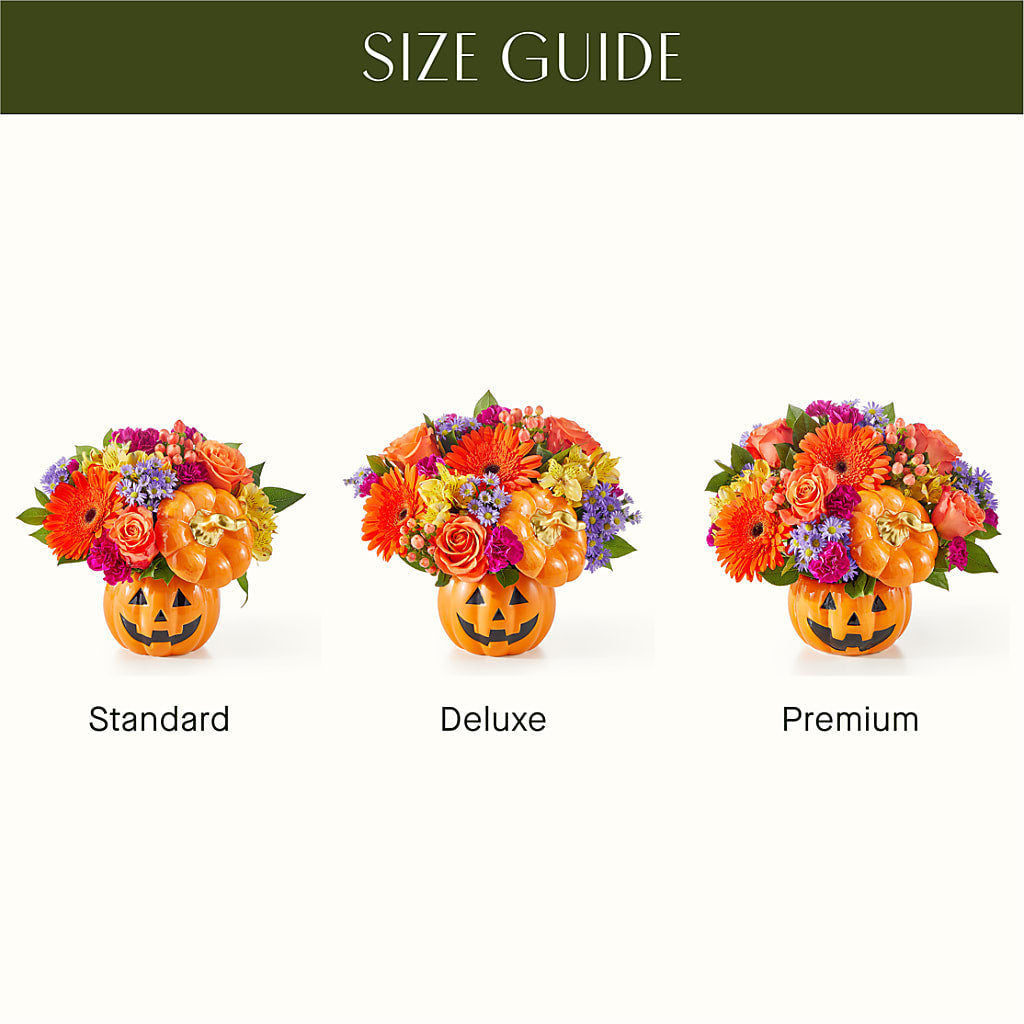 Tricks & Treats Pumpkin –  Double D Flower Shop, Mercedes TX