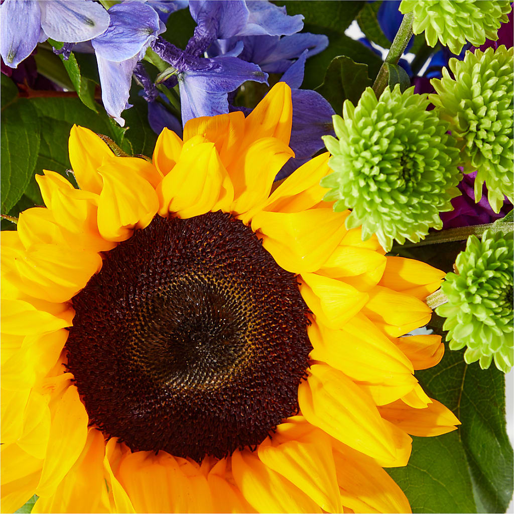 Catching Rays Bouquet –  Double D Flower Shop, Mercedes TX