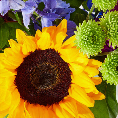 Catching Rays Bouquet –  Double D Flower Shop, Mercedes TX