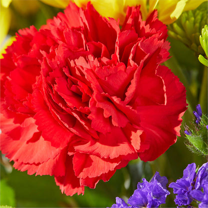 Brighter Days Bouquet –  Double D Flower Shop, Mercedes TX