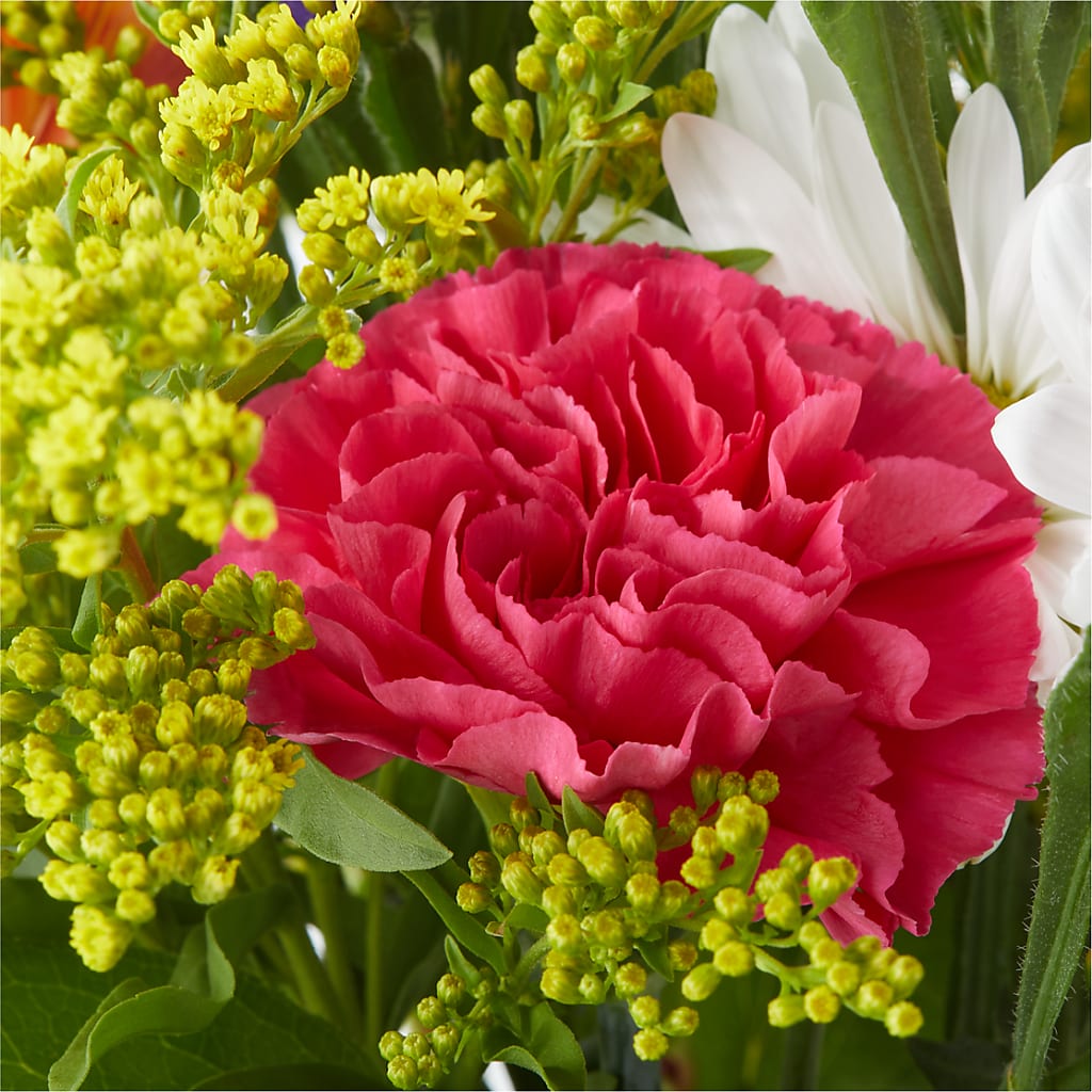 Oopsie Daisy Bouquet –  Double D Flower Shop, Mercedes TX