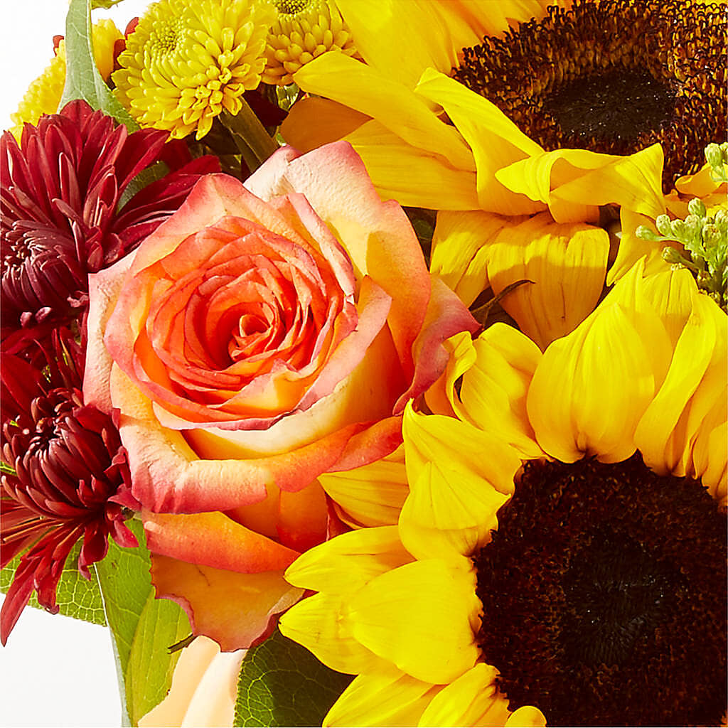 Golden Gourd Pumpkin Bouquet –  Double D Flower Shop, Mercedes TX