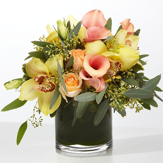 The Visionary –  Double D Flower Shop, Mercedes TX