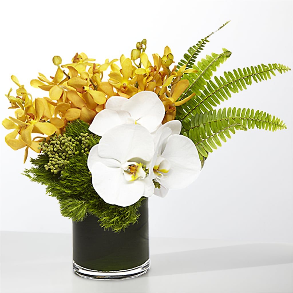 The Tropics –  Double D Flower Shop, Mercedes TX
