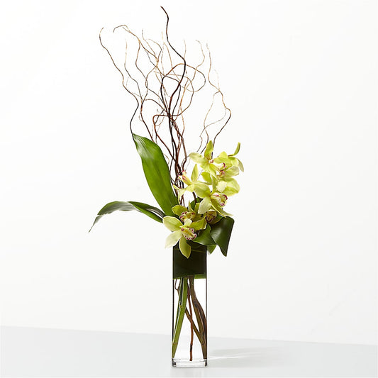 The Statement –  Double D Flower Shop, Mercedes TX