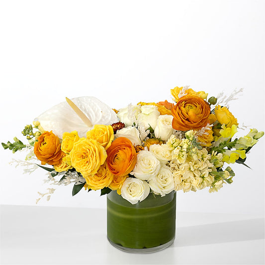 The Optimist –  Double D Flower Shop, Mercedes TX