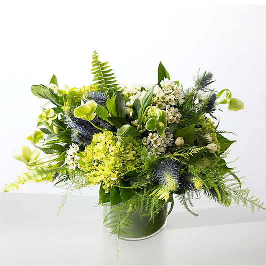 The Botanical Gardens –  Double D Flower Shop, Mercedes TX