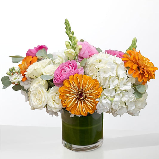 The Meet Cute –  Double D Flower Shop, Mercedes TX