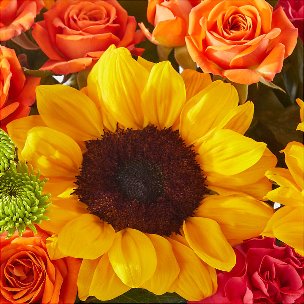 Sun-drenched Blooms Box Bouquet –  Double D Flower Shop, Mercedes TX