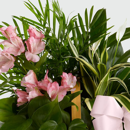 Living Spirit Dishgarden –  Double D Flower Shop, Mercedes TX
