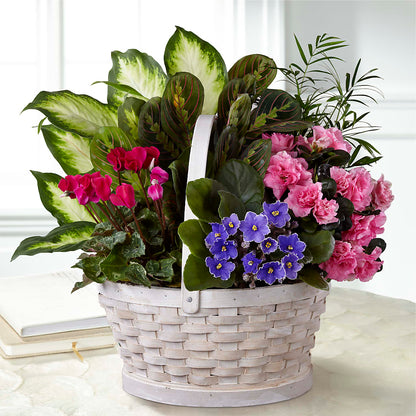 Peaceful Garden Planter –  Double D Flower Shop, Mercedes TX