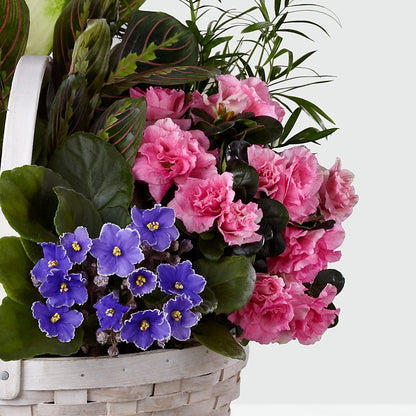 Peaceful Garden Planter –  Double D Flower Shop, Mercedes TX