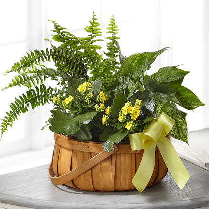 Always Dear Dishgarden –  Double D Flower Shop, Mercedes TX