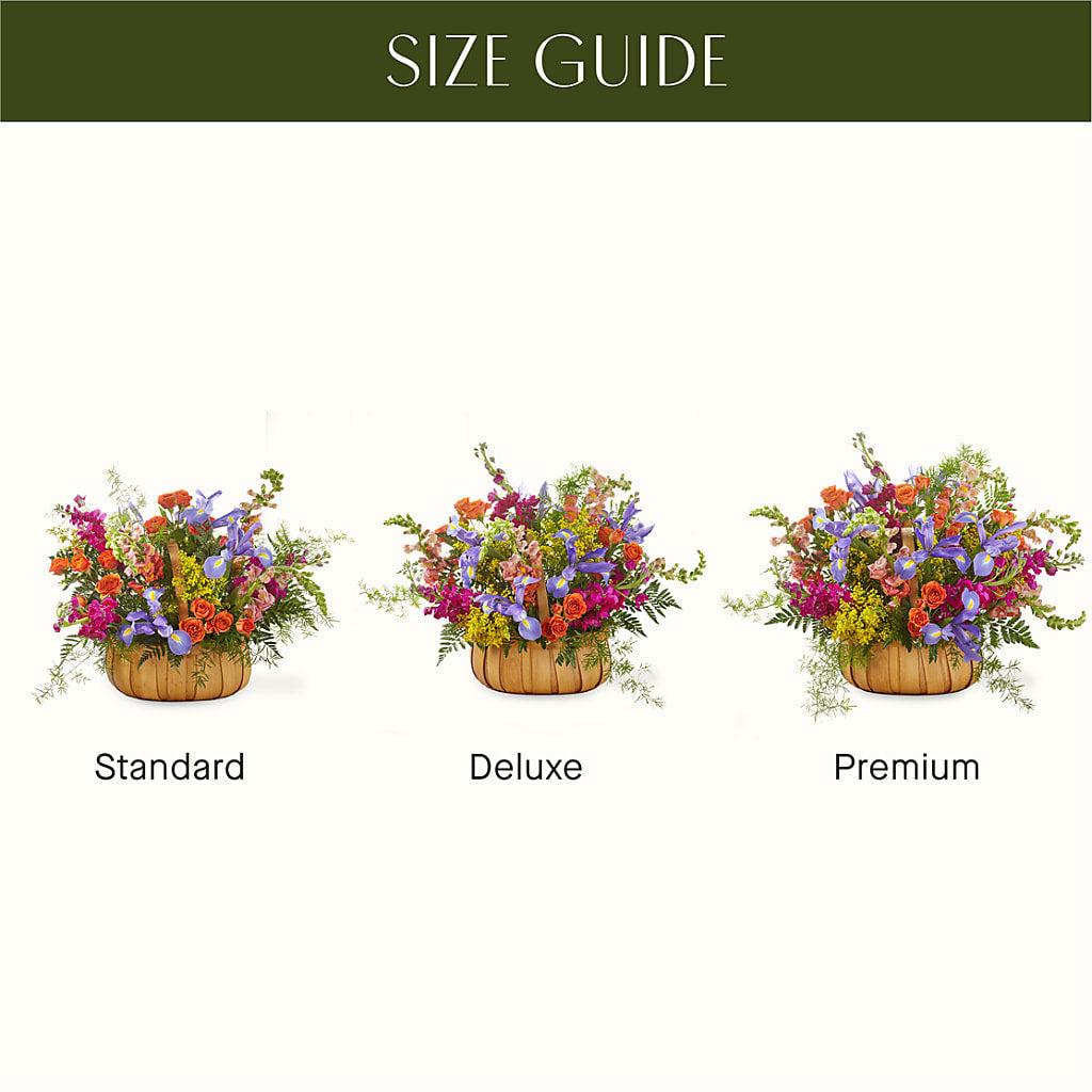Garden of Life Basket –  Double D Flower Shop, Mercedes TX