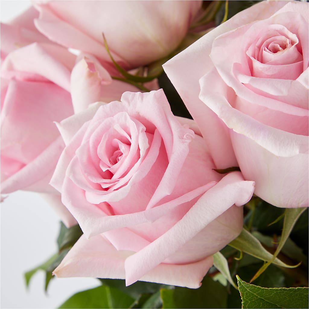 Picture Perfect Pink Rose Bouquet –  Double D Flower Shop, Mercedes TX