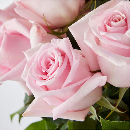 Picture Perfect Pink Rose Bouquet –  Double D Flower Shop, Mercedes TX