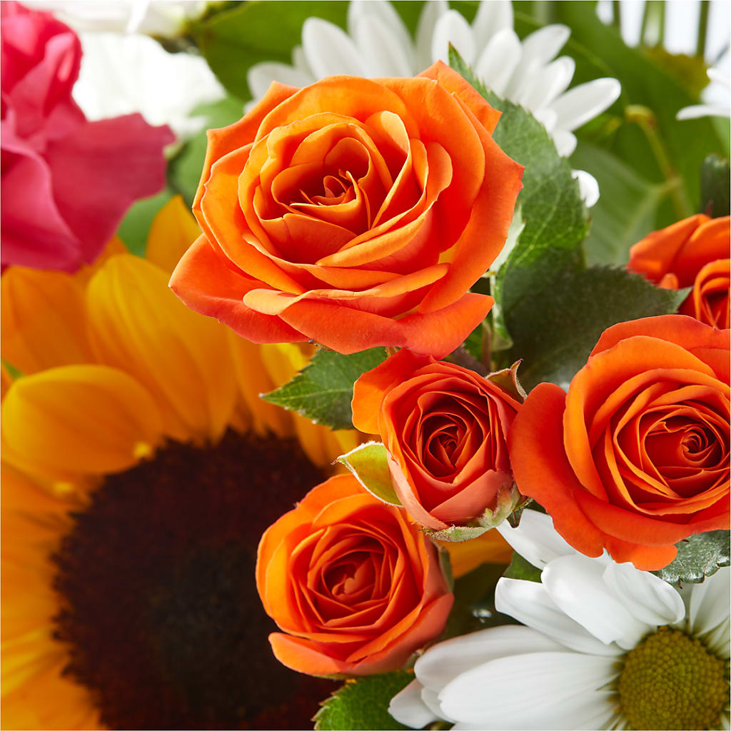 Sun-drenched Blooms Bouquet –  Double D Flower Shop, Mercedes TX