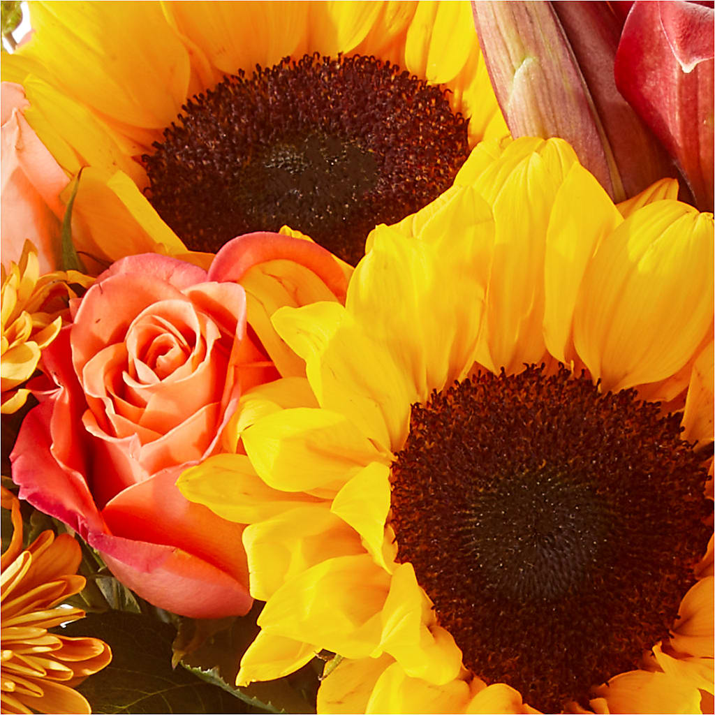 Acorn Lane Bouquet –  Double D Flower Shop, Mercedes TX